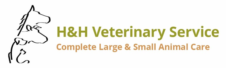 H&H Veterinary Service Logo